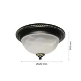 2R Ceiling lamp