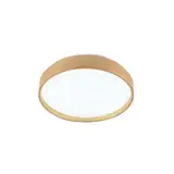 2R LED Ceiling lamp