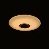 LED music ceiling lamp