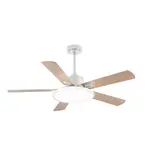 2R Chandelier Fan