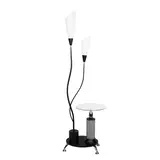 2R Floor light
