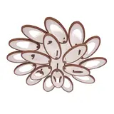 2R LED Chandelier