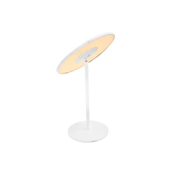 LED TABLE LIGHT T17002 IMAGE
