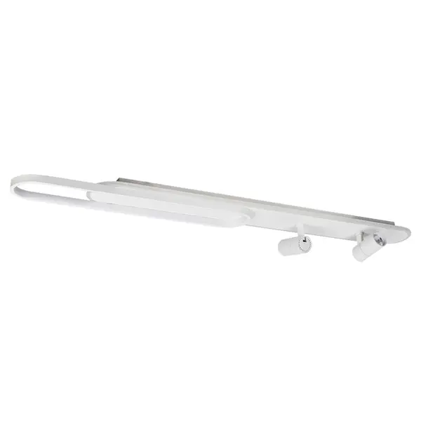 LED CEILING LIGHT WITH SPOT L1200 IMAGE