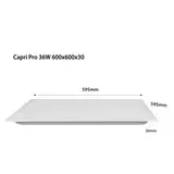 CAPRI PRO 36W