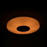 LED MUSIC CEILING LAMP LY8821 3-WHITE