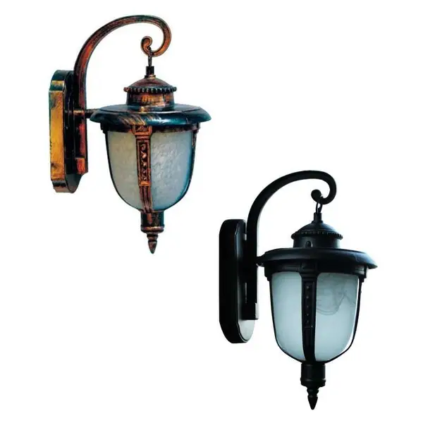 LANTERN ACORN IMAGE