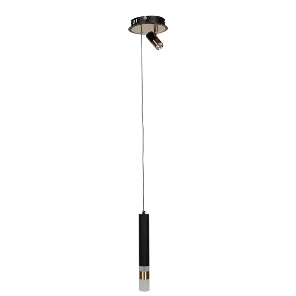 LED PENDANT LIGHT PD 1019/2 IMAGE