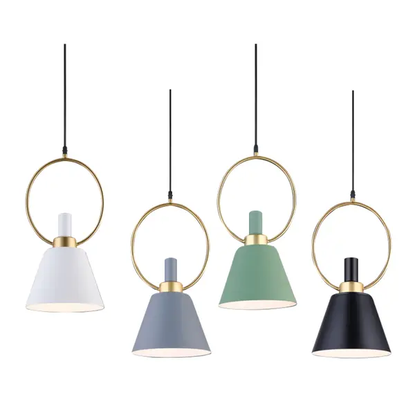 PEDANT LIGHT 1001 IMAGE