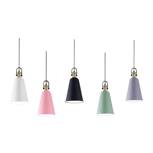 PEDANT LIGHT 1004 IMAGE