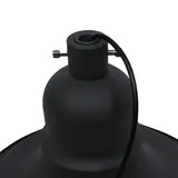 Fi
